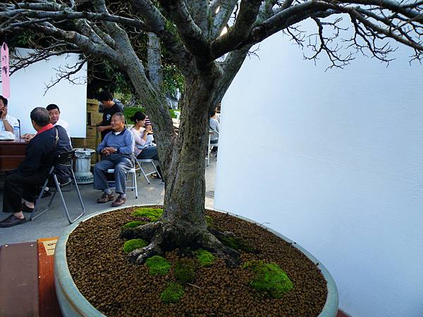 DSCF0272.JPG DSCF0272.JPG