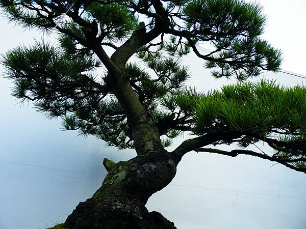 DSCF0280.JPG DSCF0280.JPG