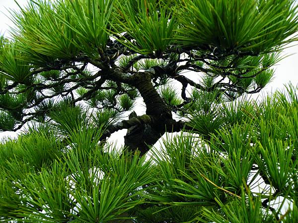 DSCF0281.JPG DSCF0281.JPG