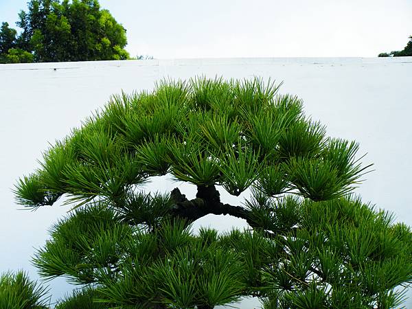 DSCF0282.JPG DSCF0282.JPG