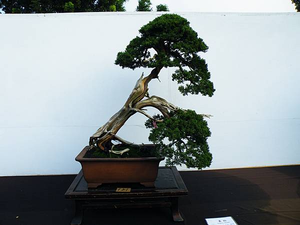 DSCF0283.JPG DSCF0283.JPG