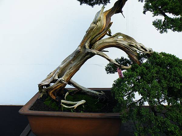 DSCF0284.JPG DSCF0284.JPG