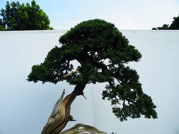 DSCF0285.JPG DSCF0285.JPG