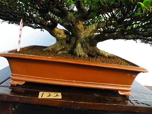 DSCF0287.JPG DSCF0287.JPG