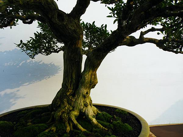 DSCF0291.JPG DSCF0291.JPG