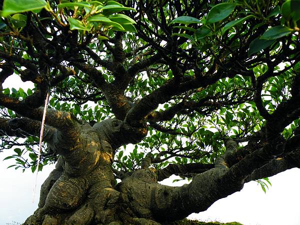 DSCF0295.JPG DSCF0295.JPG