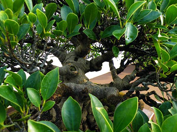 DSCF0296.JPG DSCF0296.JPG