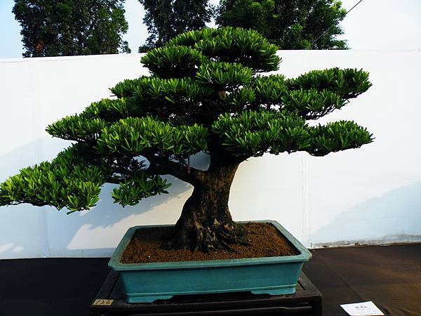 DSCF0297.JPG DSCF0297.JPG