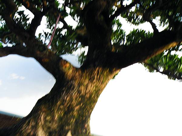 DSCF0299.JPG DSCF0299.JPG