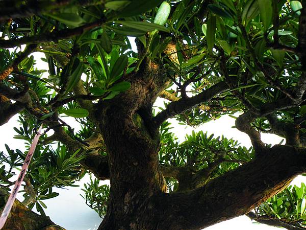 DSCF0300.JPG DSCF0300.JPG