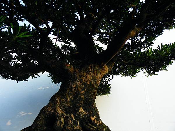 DSCF0301.JPG DSCF0301.JPG