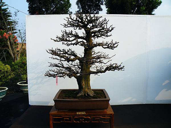 DSCF0302.JPG DSCF0302.JPG