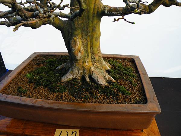 DSCF0303.JPG DSCF0303.JPG