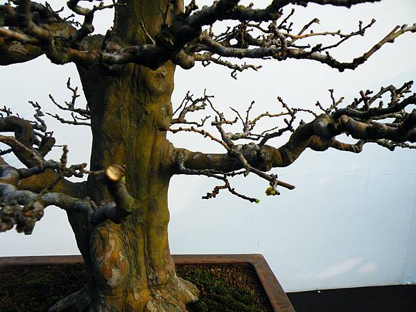 DSCF0305.JPG DSCF0305.JPG