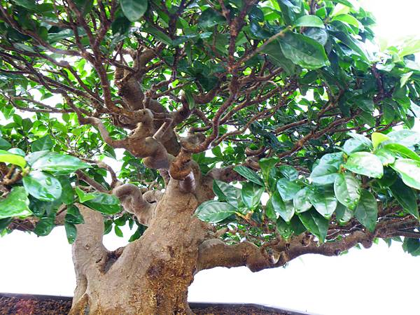 DSCF0308.JPG DSCF0308.JPG