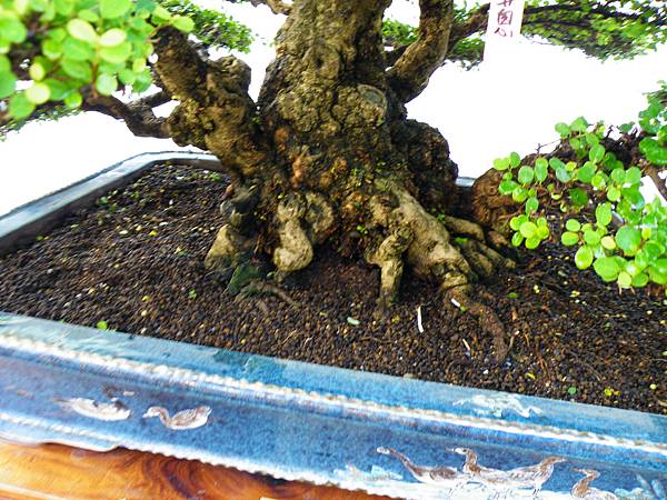 DSCF0310.JPG DSCF0310.JPG