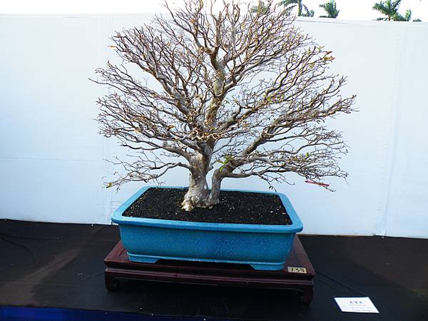 DSCF0312.JPG DSCF0312.JPG