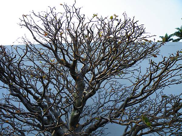 DSCF0314.JPG DSCF0314.JPG