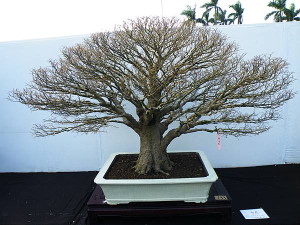 DSCF0317.JPG DSCF0317.JPG