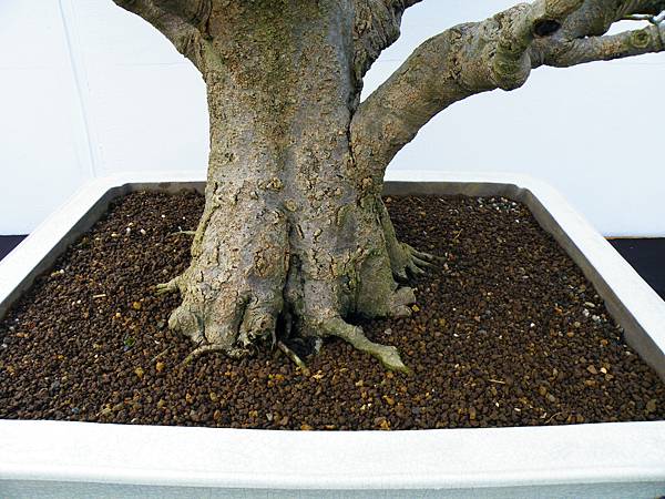 DSCF0318.JPG DSCF0318.JPG