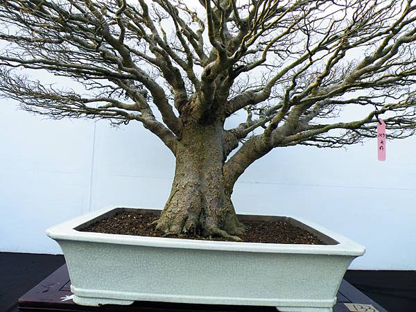 DSCF0319.JPG DSCF0319.JPG