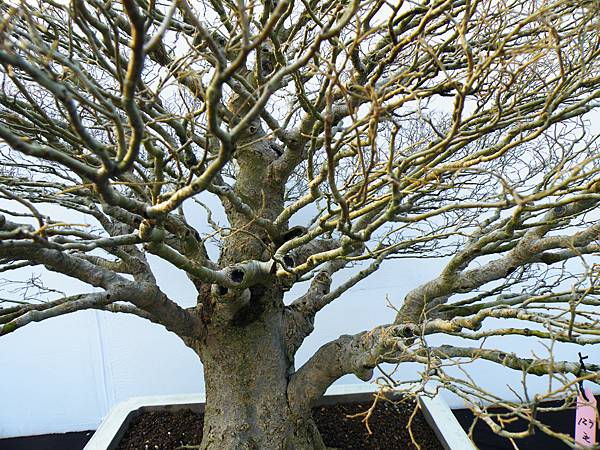 DSCF0320.JPG DSCF0320.JPG