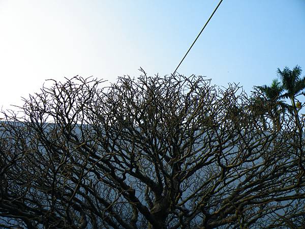 DSCF0321.JPG DSCF0321.JPG