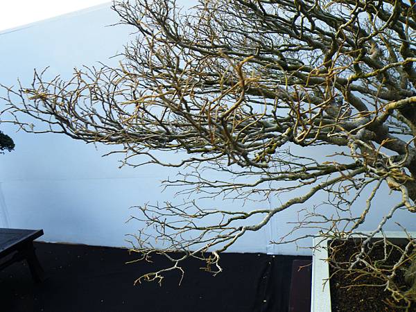 DSCF0322.JPG DSCF0322.JPG