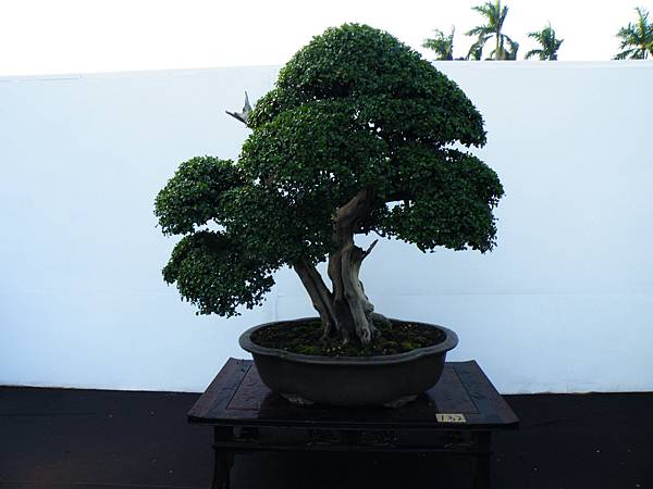 DSCF0323.JPG DSCF0323.JPG