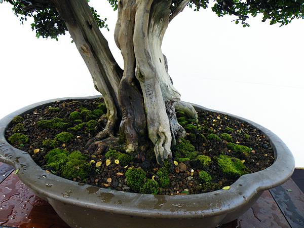 DSCF0324.JPG DSCF0324.JPG