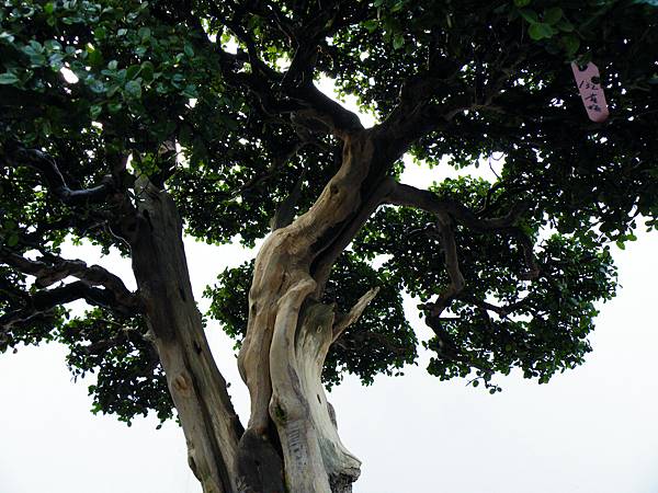 DSCF0325.JPG DSCF0325.JPG