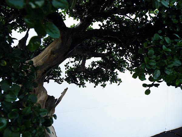 DSCF0326.JPG DSCF0326.JPG