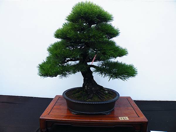 DSCF0327.JPG DSCF0327.JPG