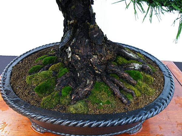 DSCF0328.JPG DSCF0328.JPG