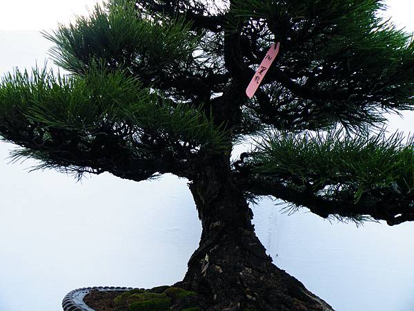 DSCF0329.JPG DSCF0329.JPG