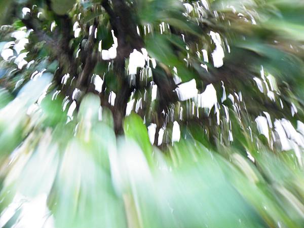 DSCF0341.JPG DSCF0341.JPG