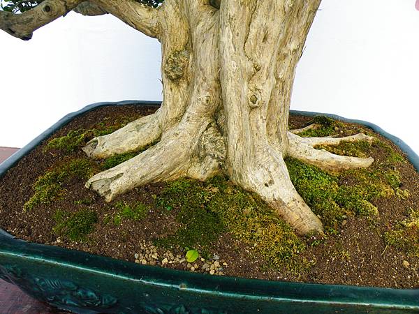 DSCF0344.JPG DSCF0344.JPG