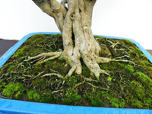 DSCF0348.JPG DSCF0348.JPG