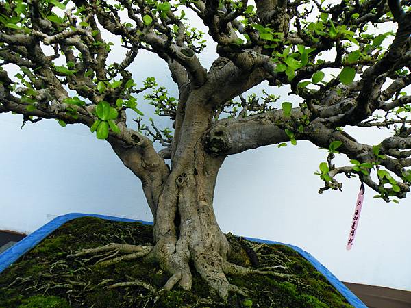 DSCF0349.JPG DSCF0349.JPG