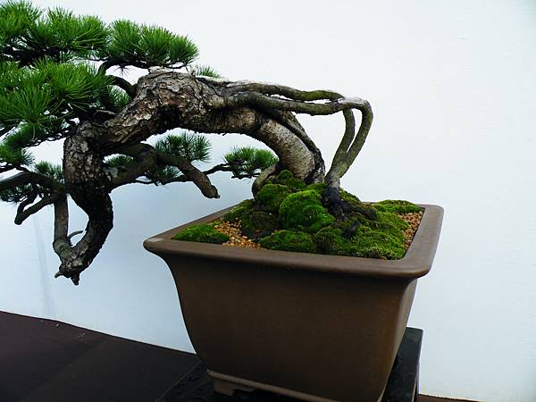 DSCF0356.JPG DSCF0356.JPG