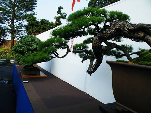 DSCF0357.JPG DSCF0357.JPG