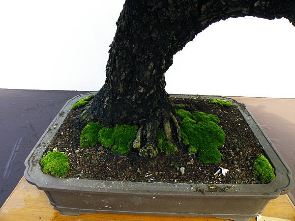 DSCF0359.JPG DSCF0359.JPG