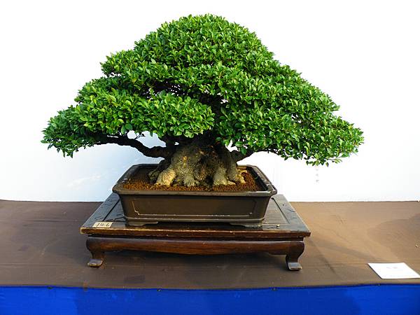 DSCF0362.JPG DSCF0362.JPG