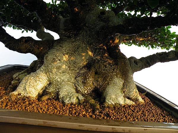 DSCF0363.JPG DSCF0363.JPG