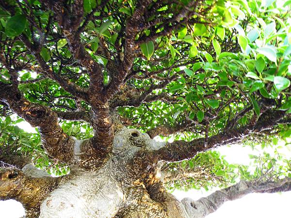 DSCF0364.JPG DSCF0364.JPG