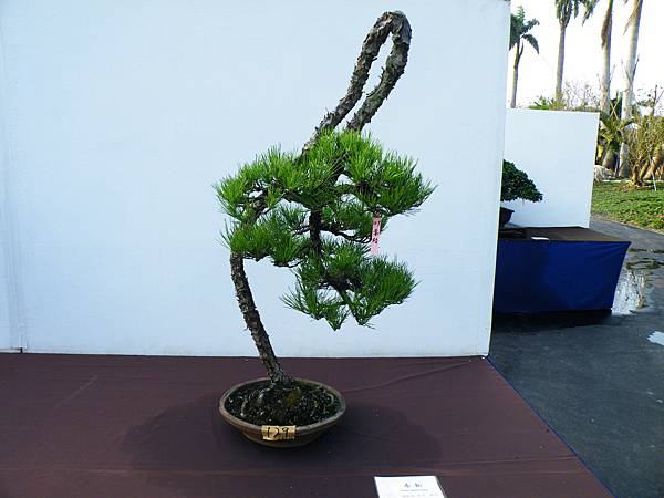 DSCF0365.JPG DSCF0365.JPG