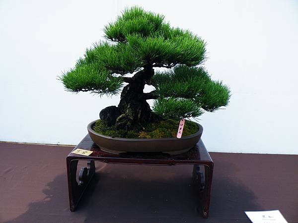 DSCF0369.JPG DSCF0369.JPG