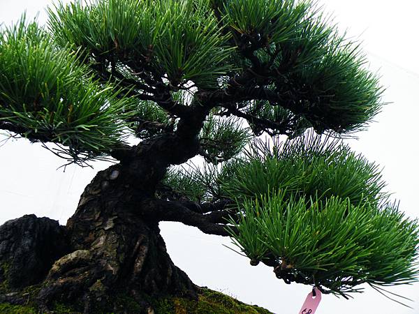 DSCF0371.JPG DSCF0371.JPG