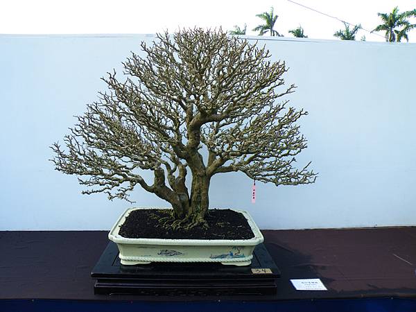 DSCF0372.JPG DSCF0372.JPG