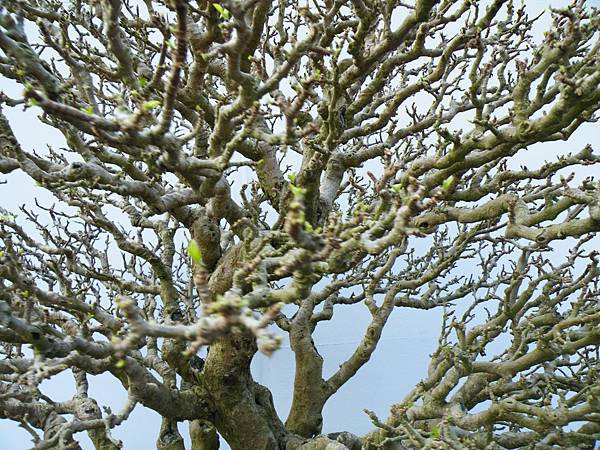 DSCF0377.JPG DSCF0377.JPG